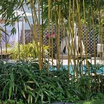 Homestay szállás La Serenite Balinaise, Et Sdb Privee, Jardin , Piscine En Saison, Pres De Chantilly, Parc Asterix Et Cdg Et Paris En 20'