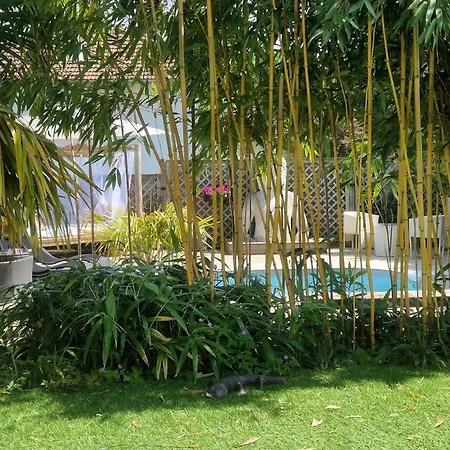 La Sérénité Balinaise, Et Sdb Privée, Jardin , Piscine En Saison, Près De Chantilly, Parc Astérix Et Cdg Et Paris En 20' Orry-La-Ville