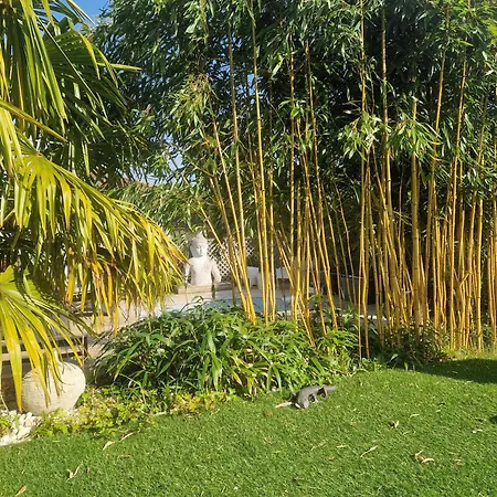 Séjour chez l'habitant La Sérénité Balinaise, Et Sdb Privée, Jardin , Piscine En Saison, Près De Chantilly, Parc Astérix Et Cdg Et Paris En 20'