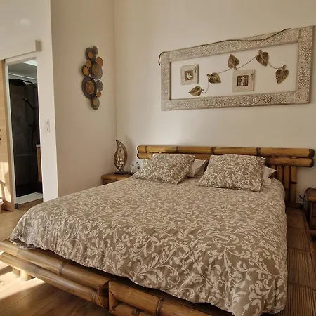 La Sérénité Balinaise, Et Sdb Privée, Jardin , Piscine En Saison, Près De Chantilly, Parc Astérix Et Cdg Et Paris En 20' *